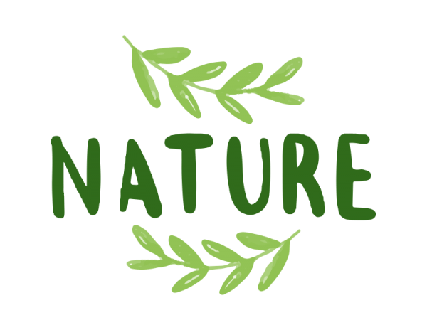 Home | Finest Natural Ingredients| Green Fairy Products